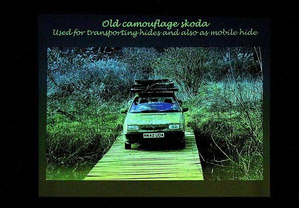 7. Camouflage car.jpg